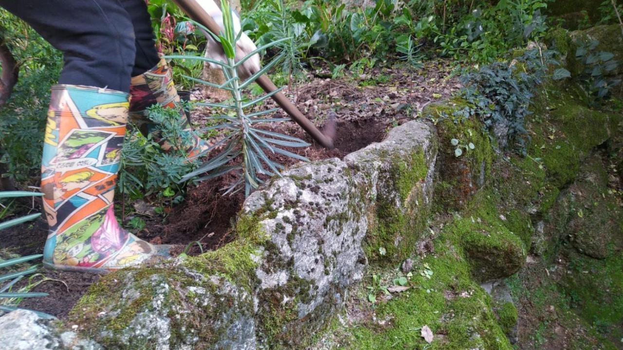ヴィーラ・ポウカ・デ・アギアル Casa Padre Manuel Do Coutoヴィラ エクステリア 写真